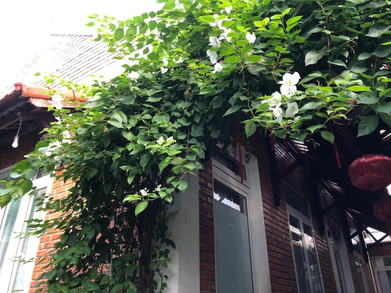 Q'Tropical Garden Homestay Hue Zewnętrze zdjęcie